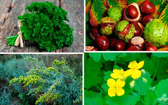 gyógynövények prosztatagyulladás kezelésére