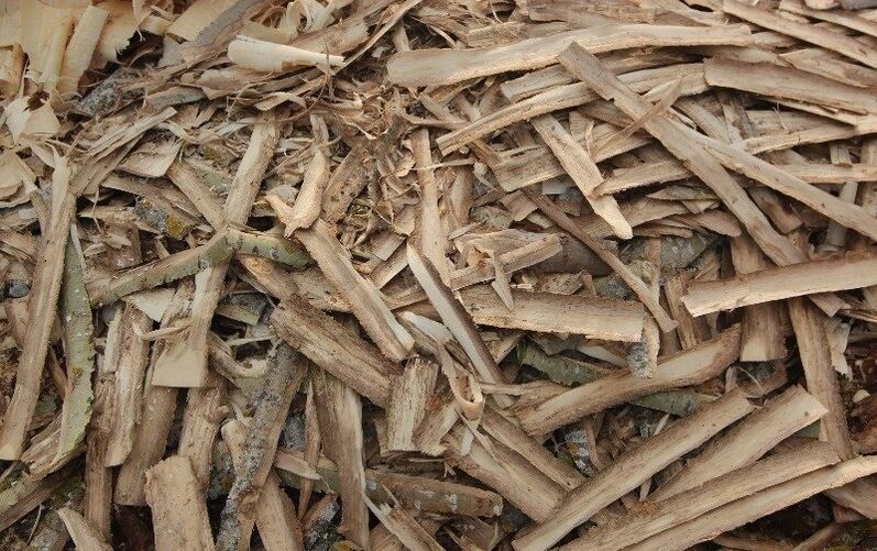 nyárfa kéreg prosztatagyulladásra